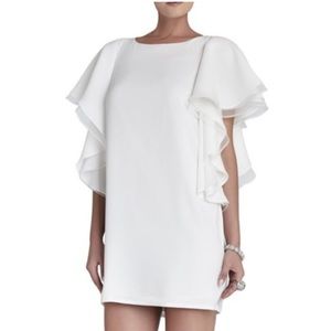 BCBG Maxazria Ruffle Sleeve Solace Dress size 0